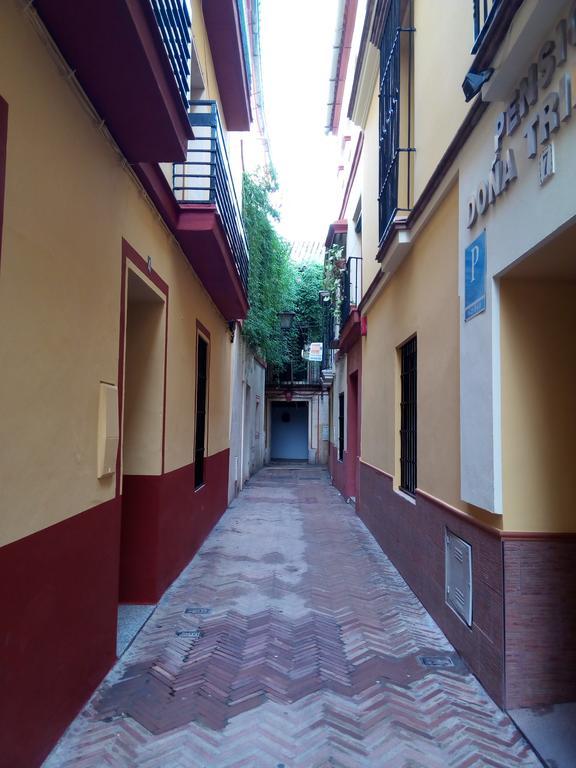 סביליה Apartamento San Clemente מראה חיצוני תמונה