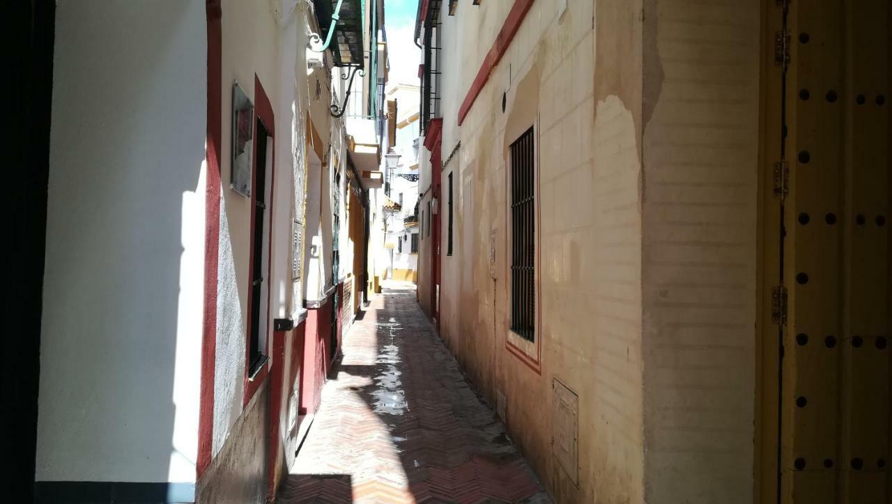 סביליה Apartamento San Clemente מראה חיצוני תמונה