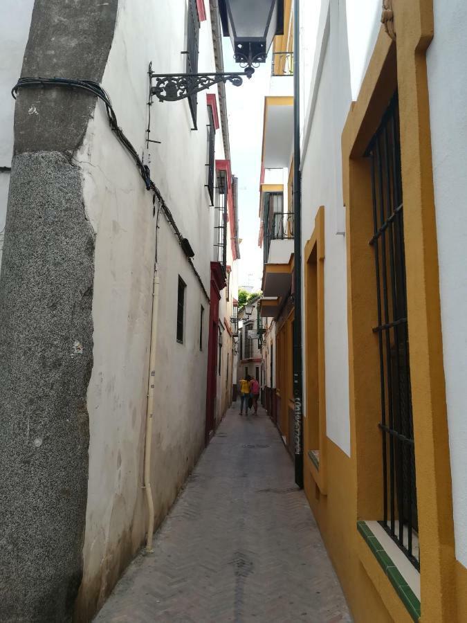 סביליה Apartamento San Clemente מראה חיצוני תמונה